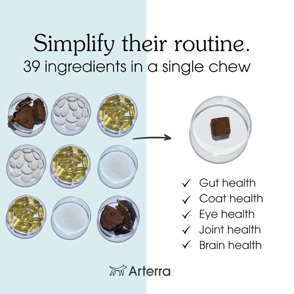 This static square ad displays a comparison between raw nutritional components and a single finished dog supplement chew, highlighting five key health benefits.
